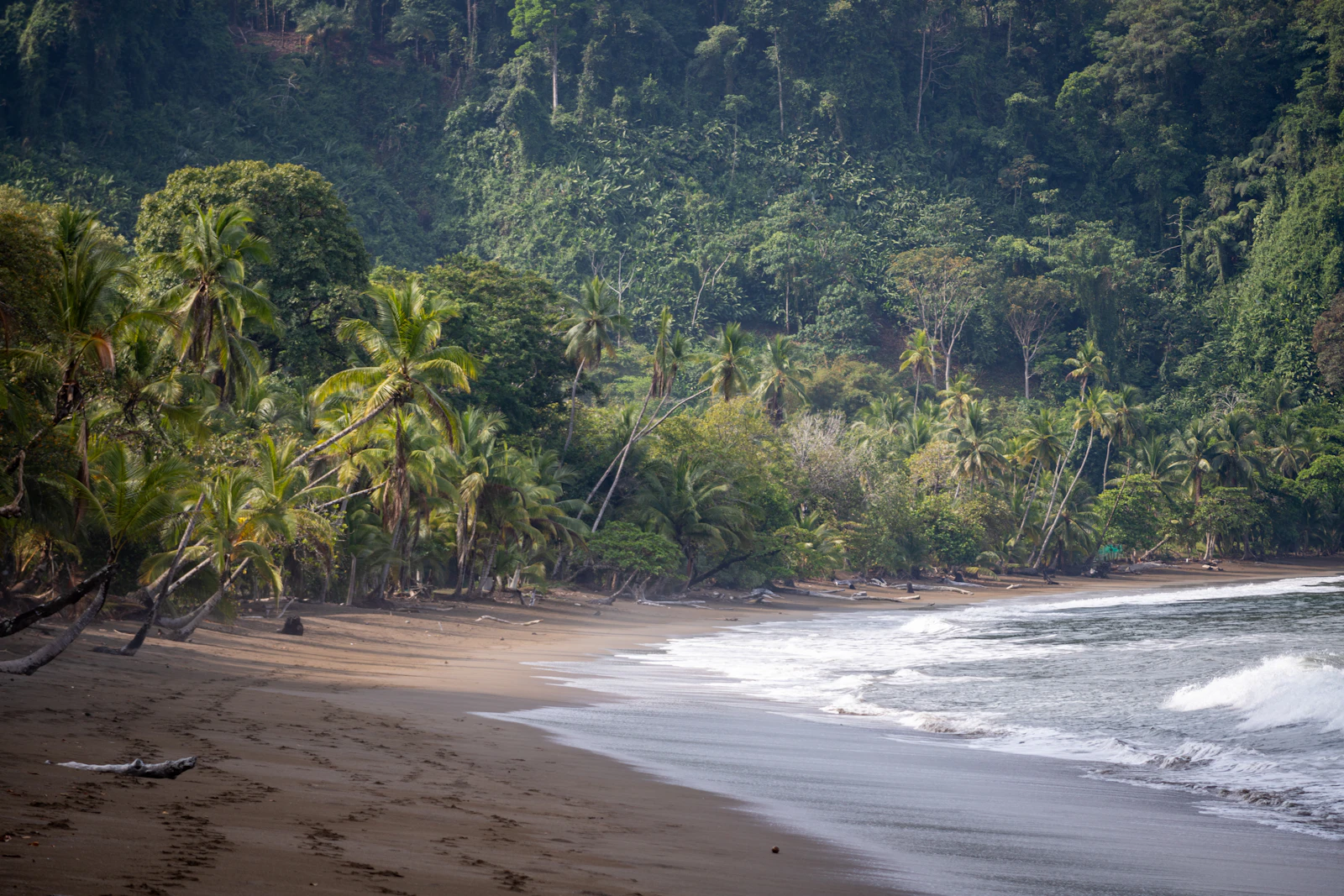 Peaceful rainforest beach on Costa Rica's Pacific coast